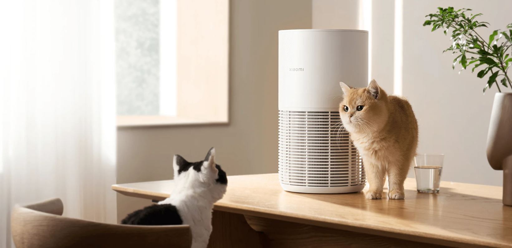 Pet Air Purifier