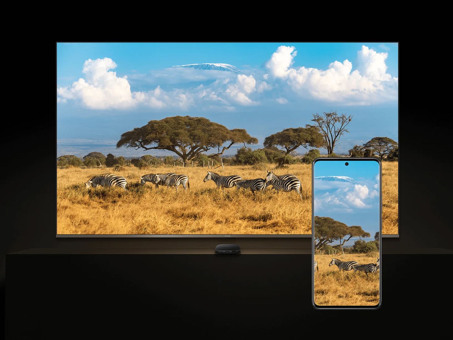 Google Cast