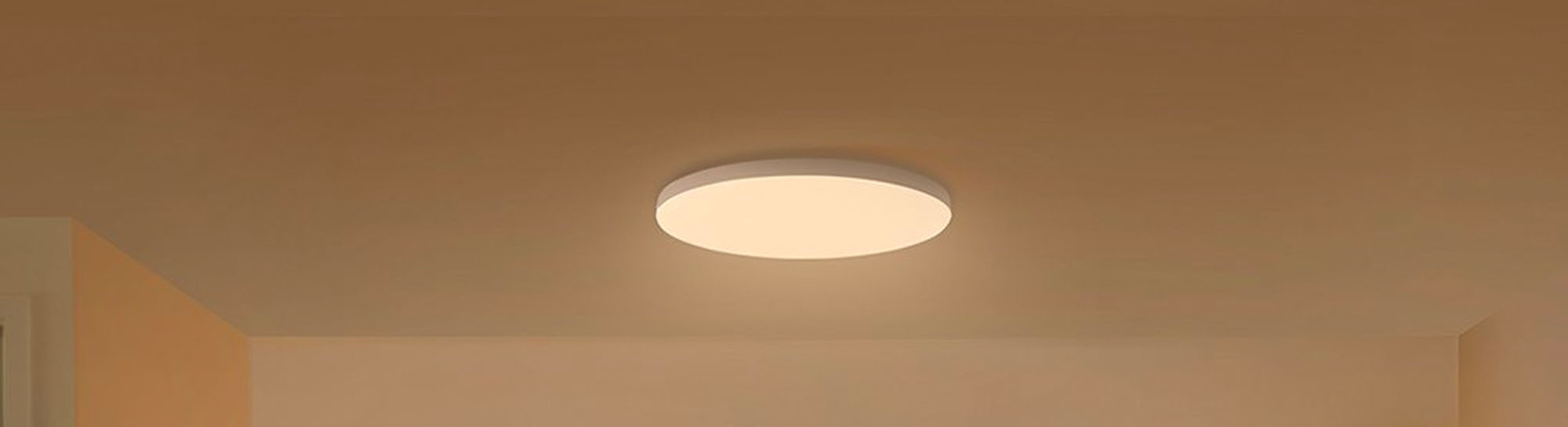 Mi Smart LED Ceiling Light